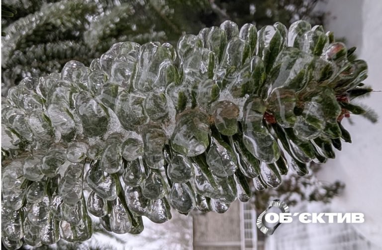 У Харкові буде до 28° морозу: прогноз погоди на перші дні лютого
