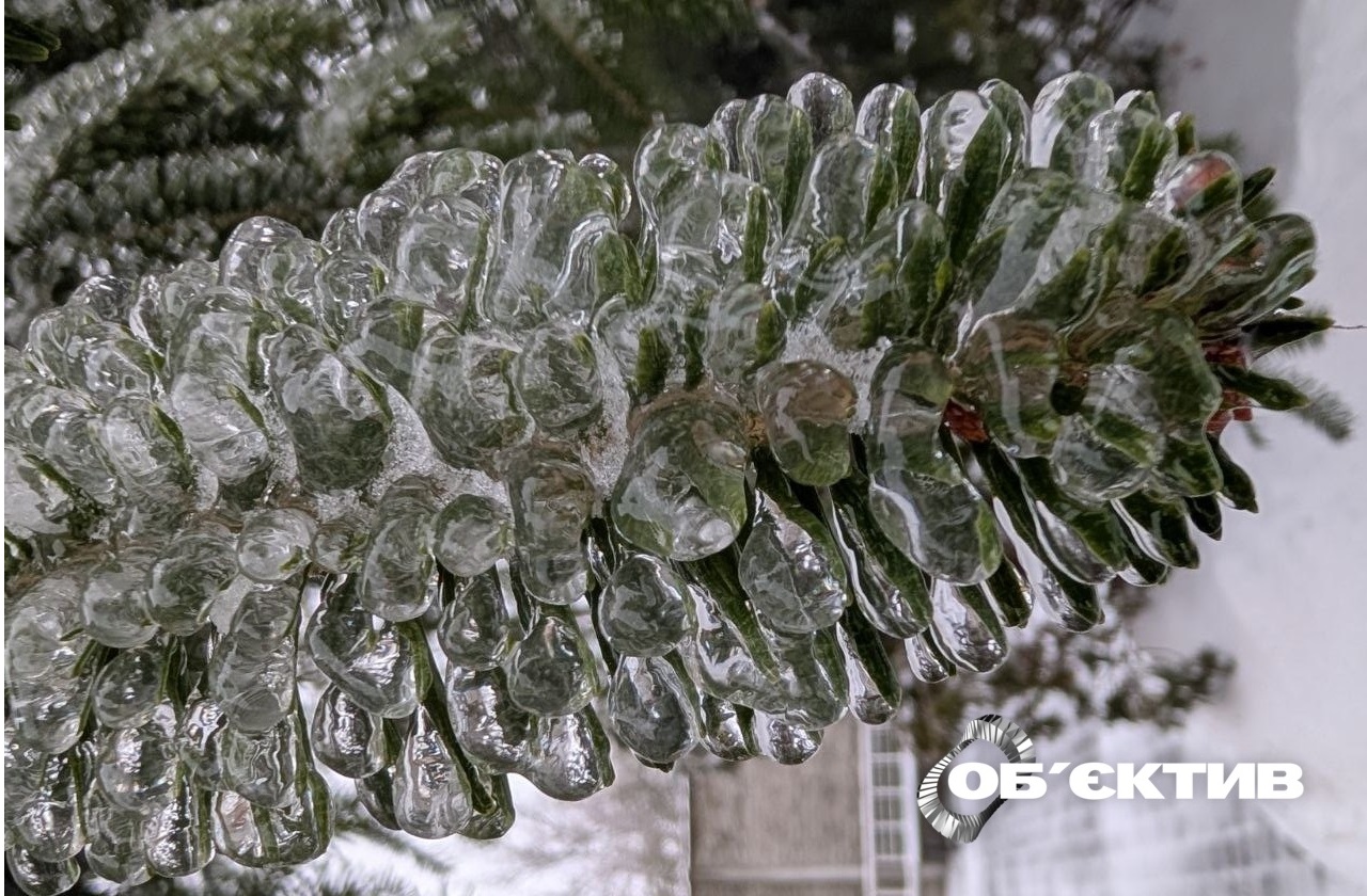 У Харкові буде до 28° морозу: прогноз погоди на перші дні лютого