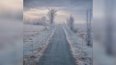 Где сейчас идут бои в Харьковской области — Генштаб ВСУ