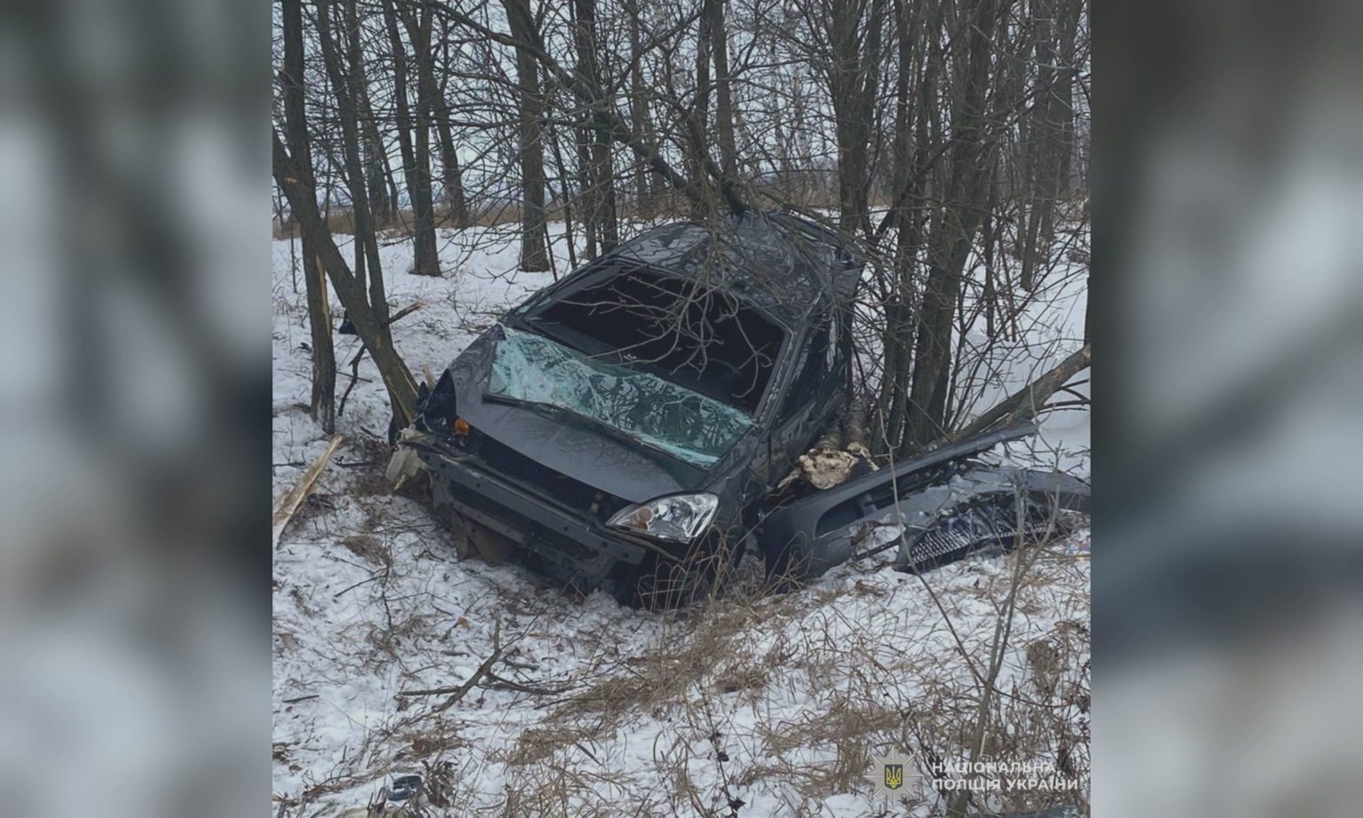 Двухмесячный ребенок погиб в ДТП на Харьковщине (фото)