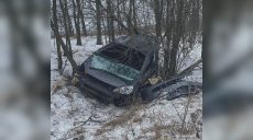 Двомісячна дитина загинула в ДТП на Харківщині (фото)