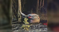 Влетела в дерево: водитель погибла в ДТП на Харьковщине, пассажиры в больнице