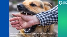 От бешенства умерла женщина в Харькове