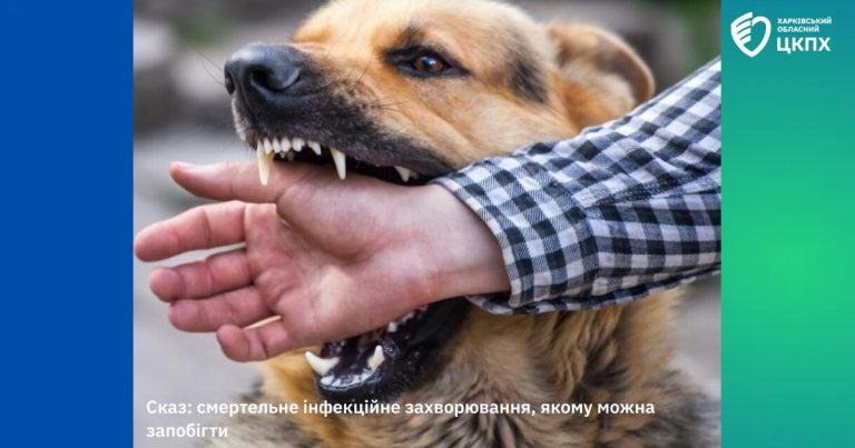 От бешенства умерла женщина в Харькове