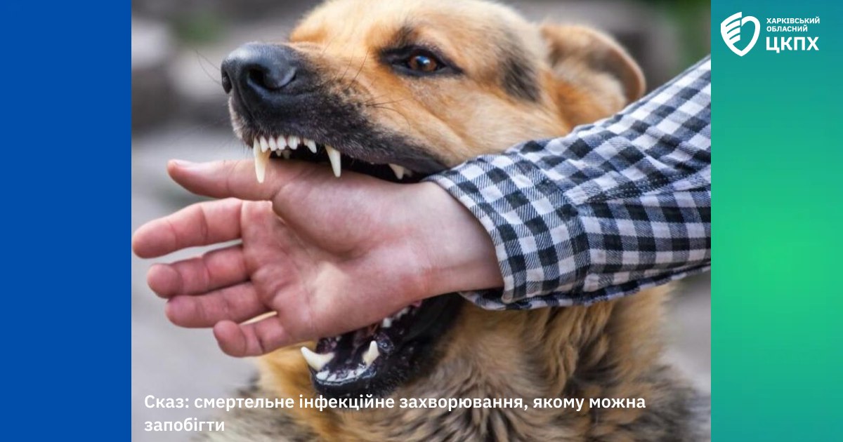 От бешенства умерла женщина в Харькове