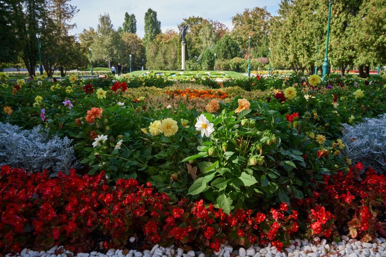 Скільки прибрали дерев і посадили квітів у 2025 році комунальники Харкова