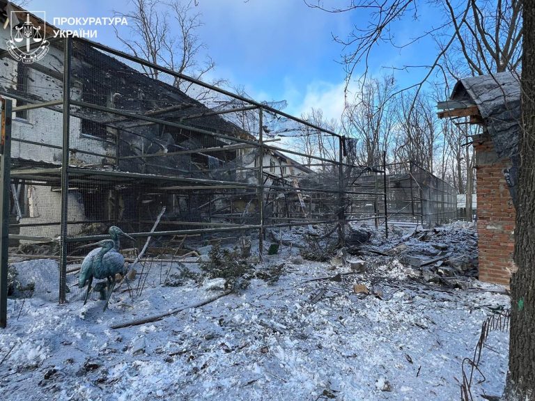 Удар КАБом по экопарку под Харьковом 1 января — все последствия (видео, фото)
