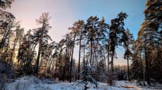 Снег 11 января: когда в Харькове последний раз была такая зима