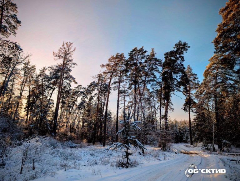 Сколько в Харькове выпало снега за сутки, рассказала синоптик