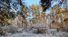 Морози не вщухають. Прогноз погоди на 22 січня у Харкові й області