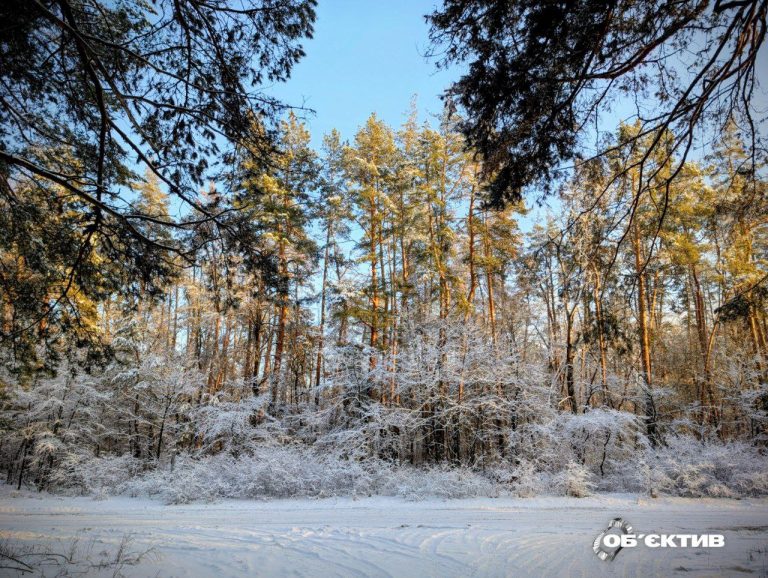 Морози не вщухають. Прогноз погоди на 22 січня у Харкові й області