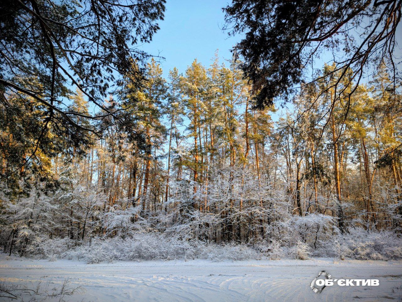 Морози не вщухають. Прогноз погоди на 22 січня у Харкові й області