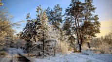 Новости Харькова – главное 27 января: как прошла ночь