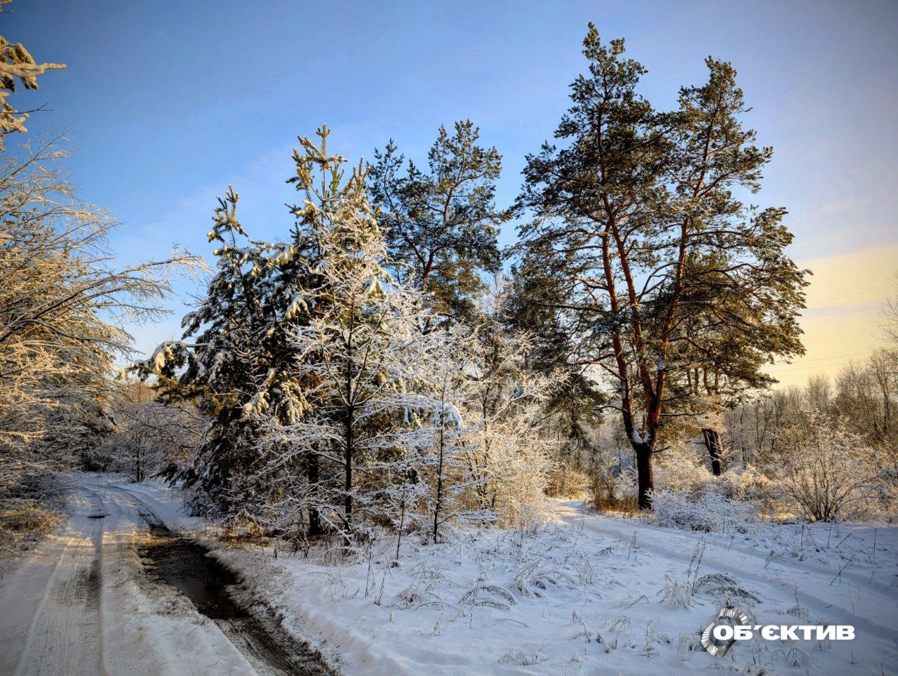 Новости Харькова – главное 27 января: как прошла ночь