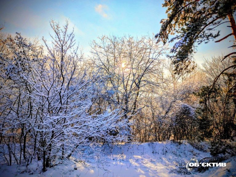 «Сложные погодные условия»: прогноз по Харькову и области на 6 января