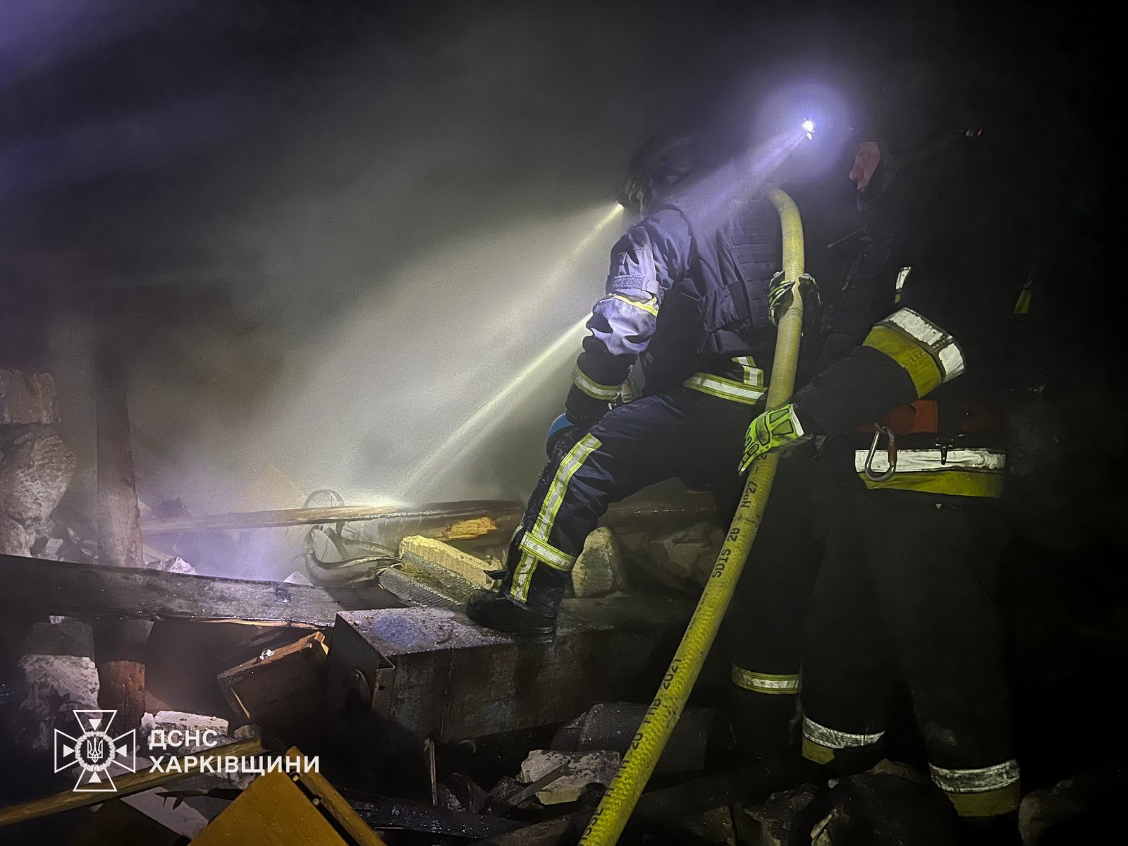 Прилеты в Великом Бурлуке  17 января 3