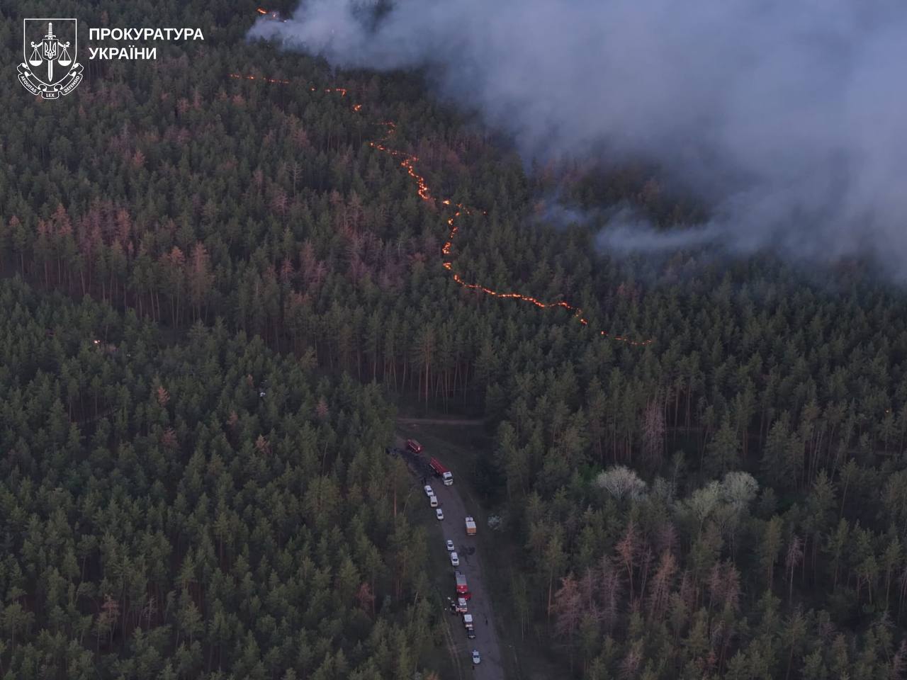 пожежа у лісі в Ізюмському районі, квітень 2025 року