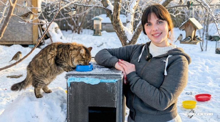 «Пункти незламності» для котів і птахів облаштовують у Харкові через морози 📹