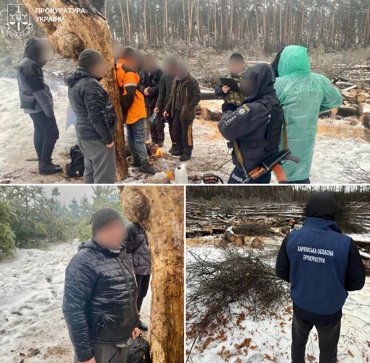 черные лесорубы попались