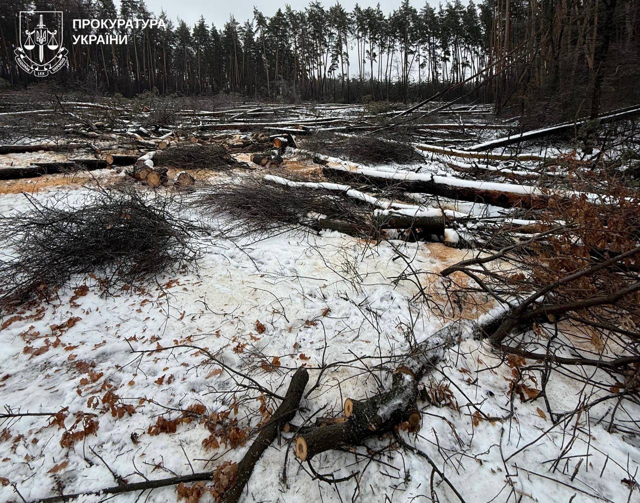 черные лесорубы