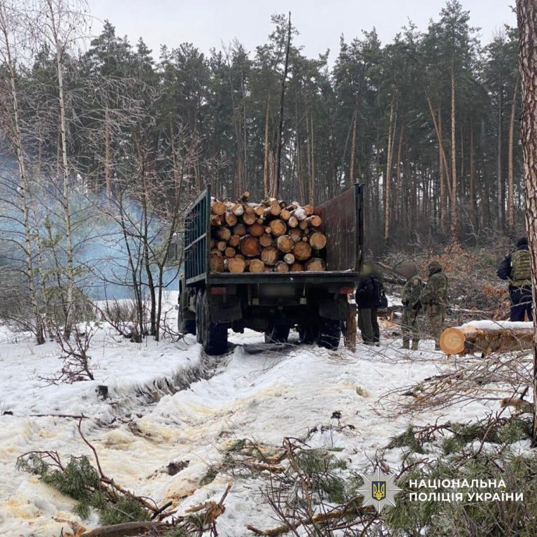 Три товарища напилили деревьев на 300 тысяч гривен на Харьковщине