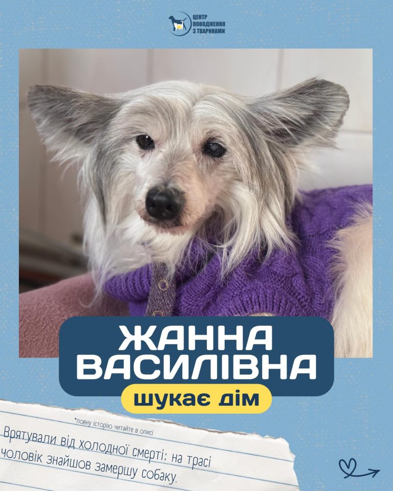 Мужчина спас собаку, выброшеную в лютый мороз на дорогу под Харьковом