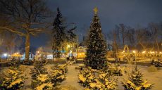 Конца морозам не видно: прогноз погоды в Харькове и области на 18 января