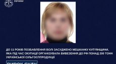 Вывозила украинское зерно в РФ с Харьковщины – получила 11 лет за решеткой