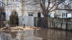 Резкое потепление, тает снег: Харьковщину подтапливает, помогают спасатели 📷