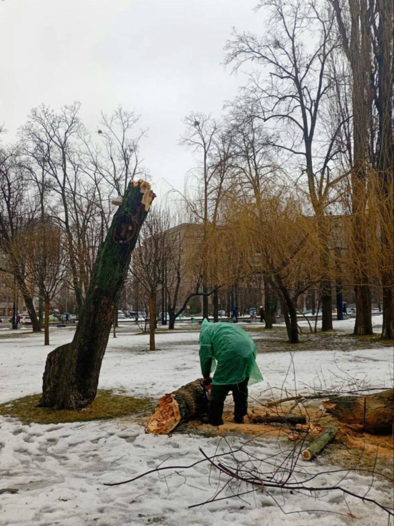 дерево упало в Харькове
