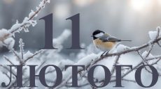 Сегодня 11 февраля 2026: какой праздник и день в истории