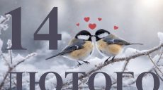 Сегодня 14 февраля 2026: какой праздник и день в истории