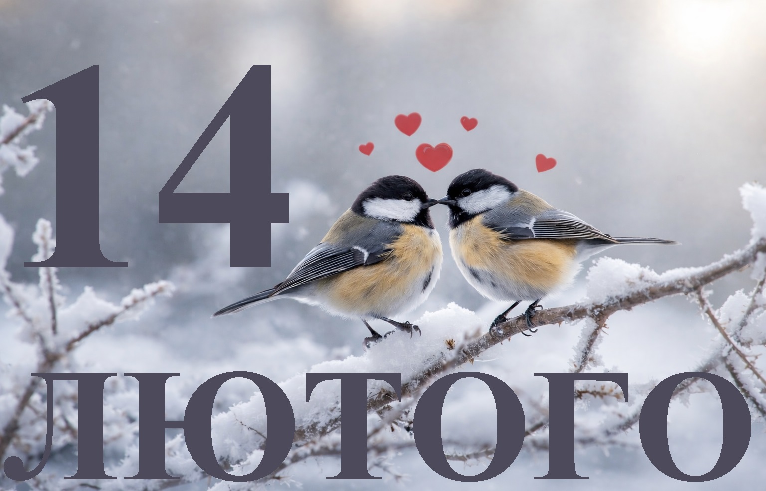 Сегодня 14 февраля 2026: какой праздник и день в истории