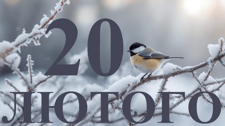 Сьогодні 20 лютого 2026: який день в історії