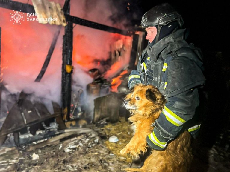 На Харьковщине спасли собаку из горящего здания (видео)
