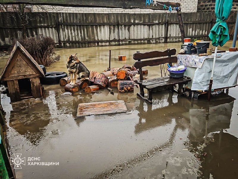 Підтоплення на Харківщині тривають: скільки випадків було минулої доби (фото)