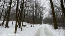 Землю в Харькове за 16,7 млн грн хотят забрать у предприятия: причина