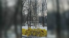 Харьков готовится к весне? В городе устанавливают декорации – соцсети (видео)