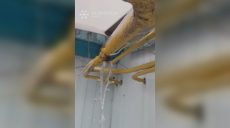 Вода попала в газопровод: без услуги было несколько домов в Харькове (видео)