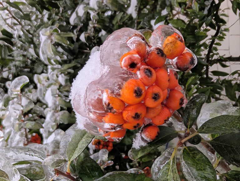 Опасный лед: харьковчан призывают быть осторожными 2 февраля