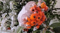 Опасный лед: харьковчан призывают быть осторожными 2 февраля