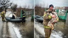 На лодке из собственного двора вывозили семью под Харьковом (фото)