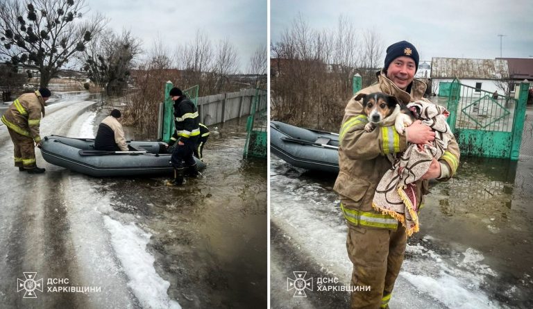 На лодке из собственного двора вывозили семью под Харьковом (фото)