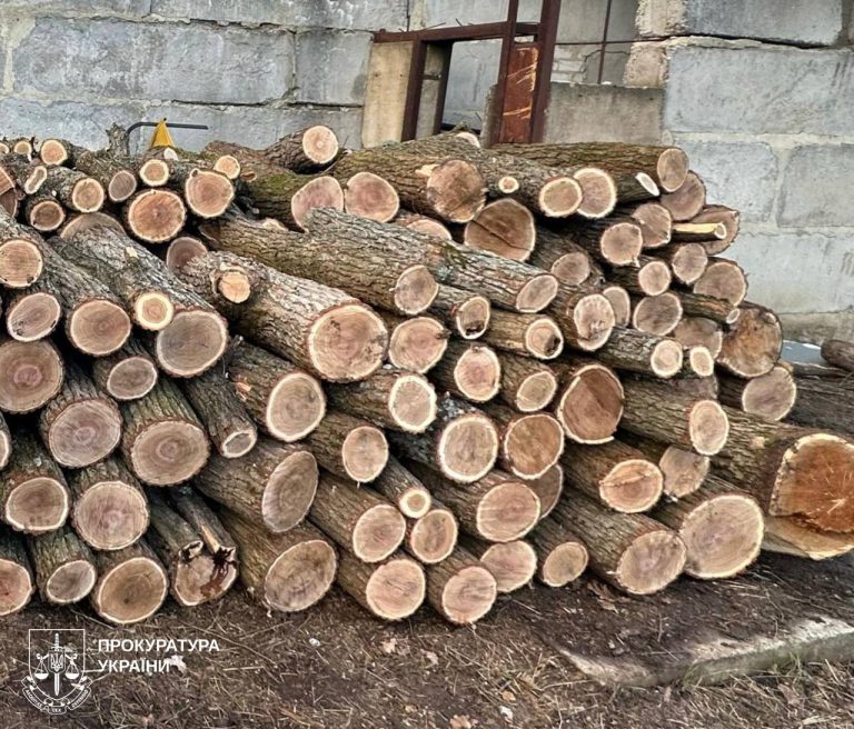Масштабная вырубка леса на Харьковщине: дело – в суде, кто фигуранты