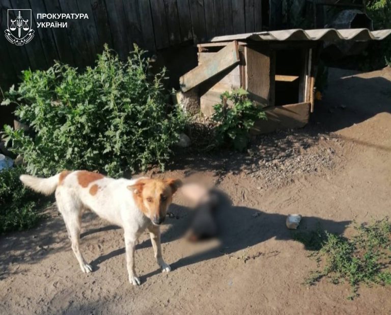 Убил и расчленил товарища: приговор жителю Харьковщины, он раскаялся