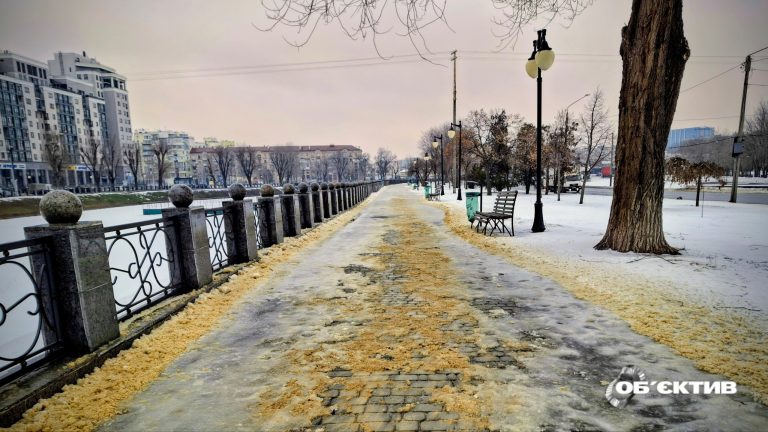 «Плюс» и небольшие осадки: прогноз погоды в Харькове и области на 26 февраля