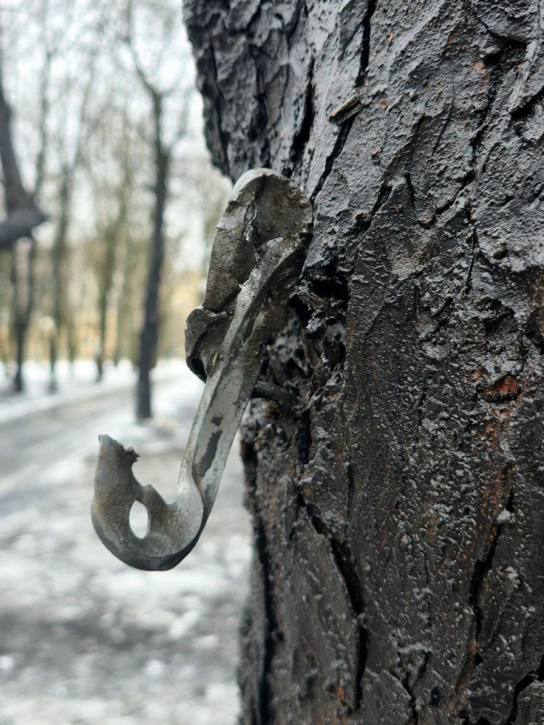 удар по Центральному парку Харькова