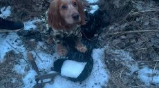 Схроны с наркотиками на почти $100 тысяч нашла служебная собака в Харькове