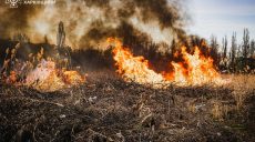 За добу в екосистемах Харківщини вирували 29 пожеж – ДСНС (фото)