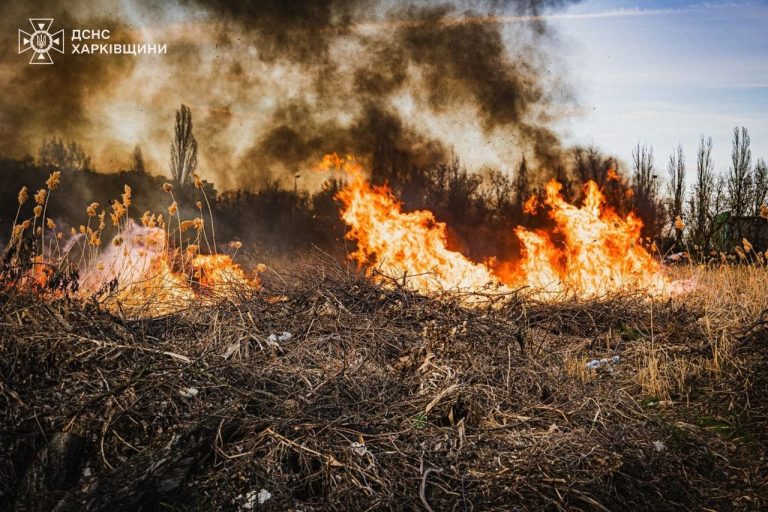 За сутки в экосистемах Харьковщины бушевали 29 пожаров – ГСЧС (фото)